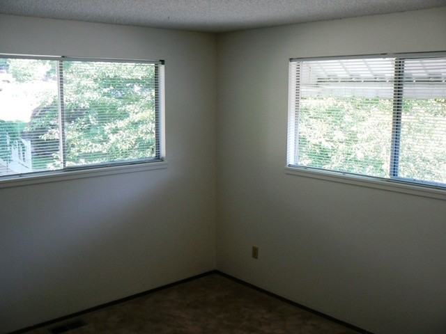 5715 29th Ave Ne - Photo 7 of 11