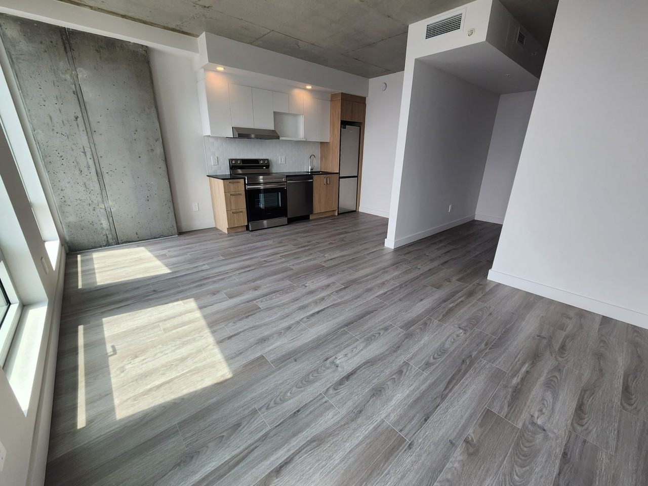 900 Rue Saint-Jacques #2206 - Photo 3 of 16