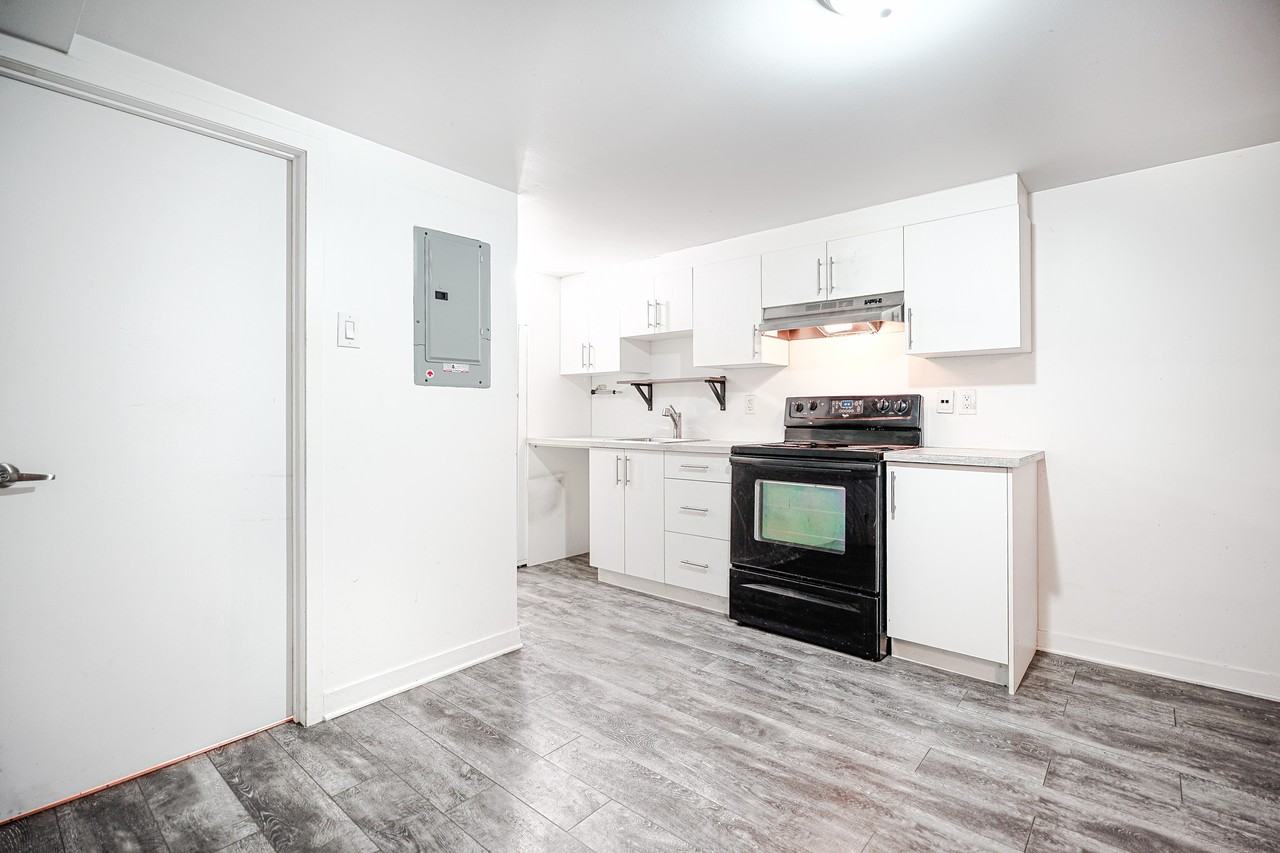 4105 Av Papineau #4105B - Photo 5 of 12