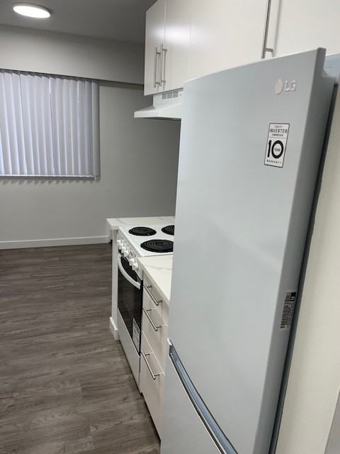 1165 West 13th Avenue #301