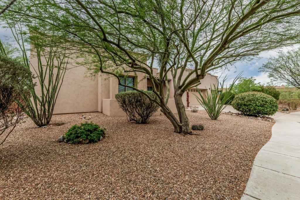 16945 S Vanilla Orchid Dr - Photo 3 of 37