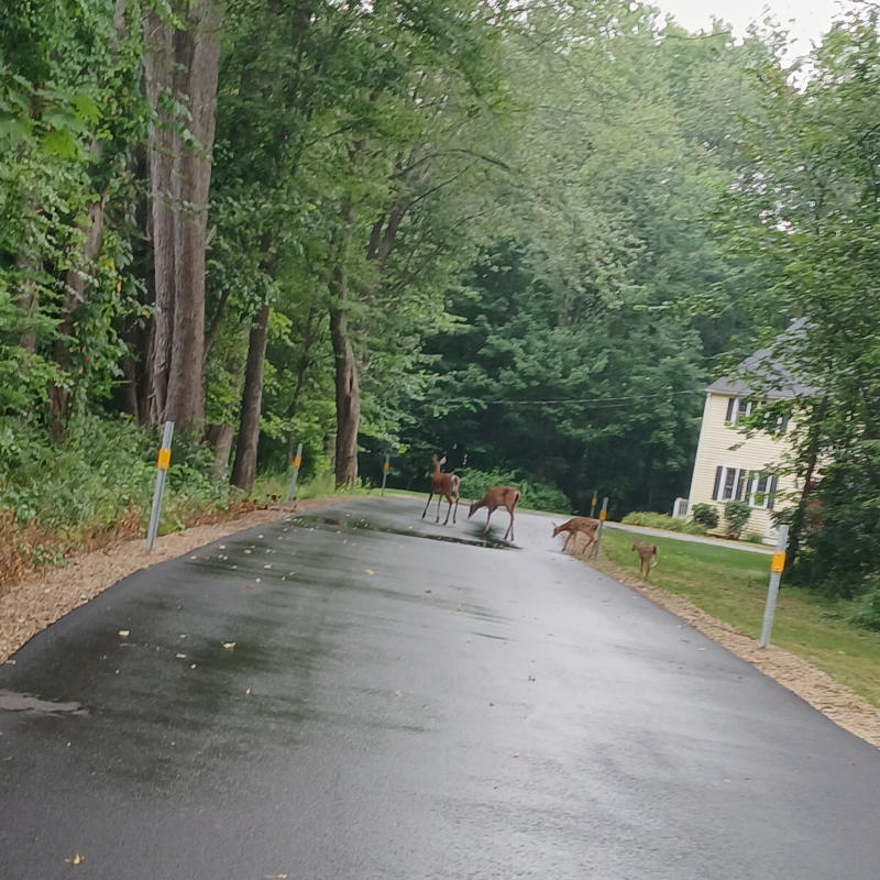 671 Main St #A - Photo 3 of 32