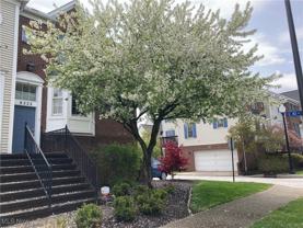 8222 Chester Pkwy - Photo 1 of 1