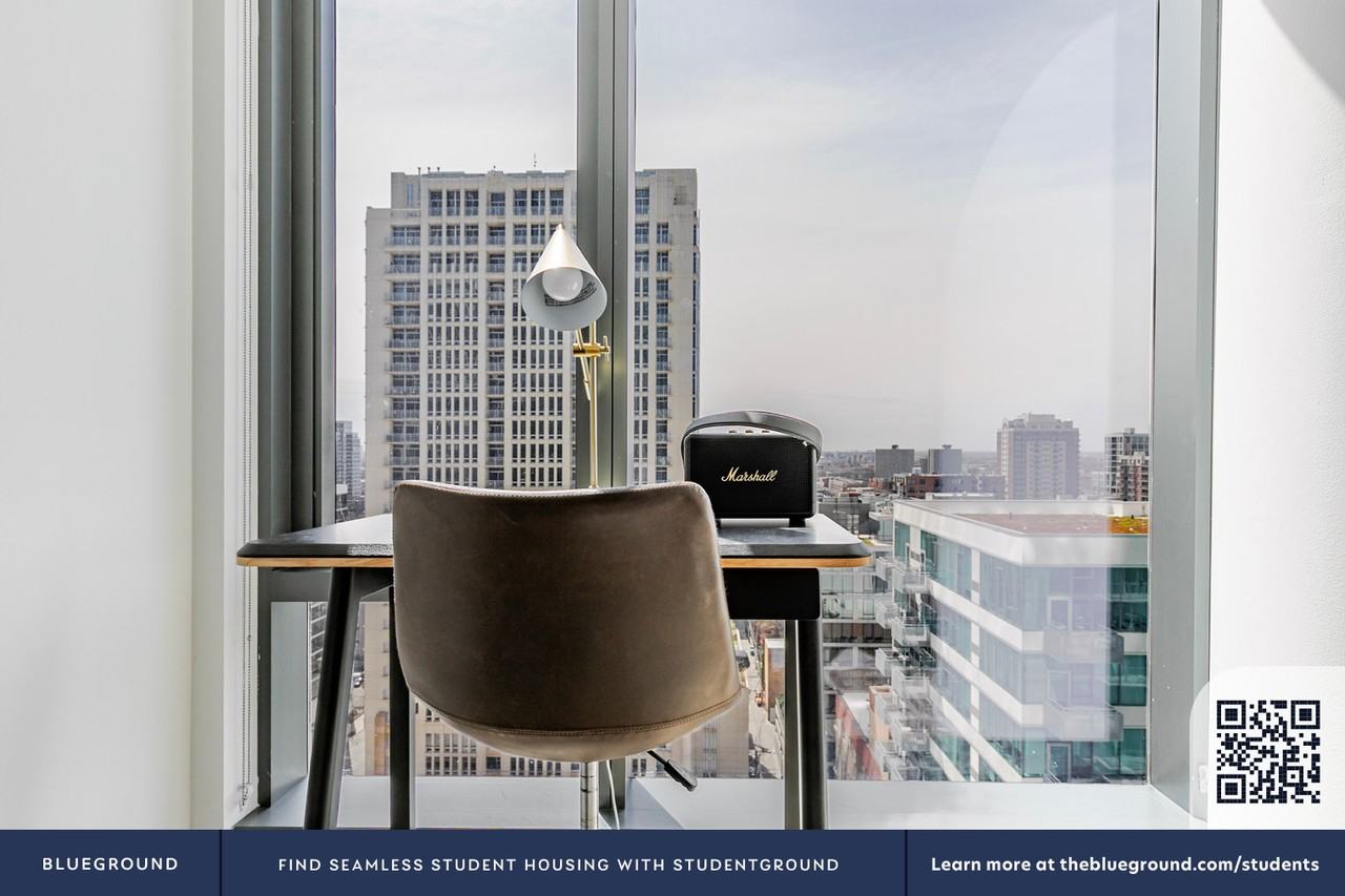 1326 South Michigan Avenue - Photo 6 of 50