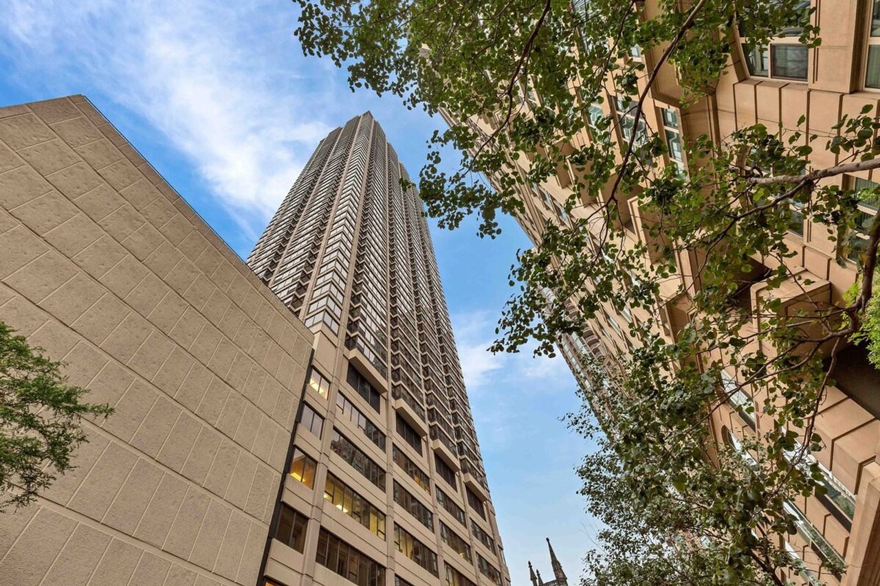 49 E Superior St #1255558P - Photo 5 of 24