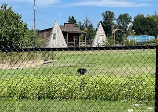 1150 Northwood Dr Ne #EAST - Photo 7 of 9