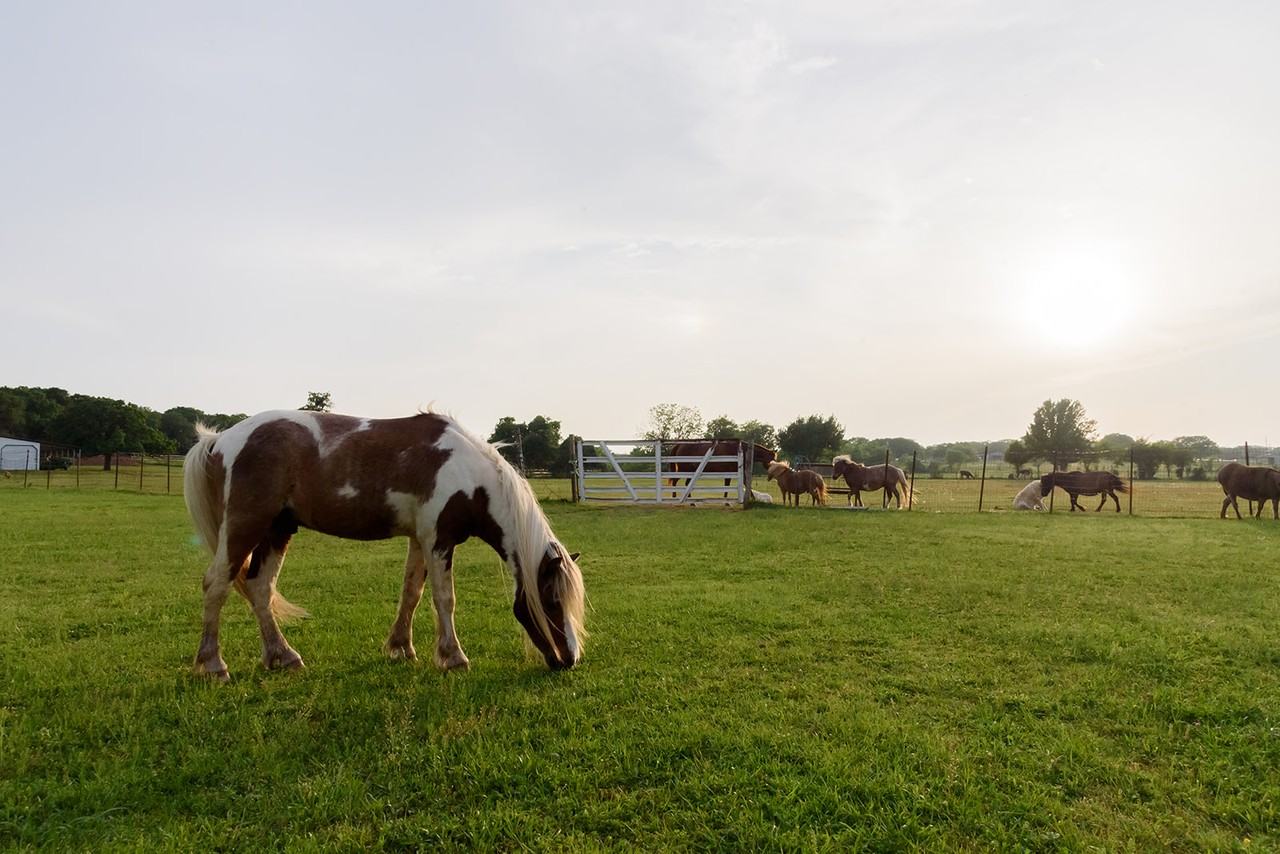 1718 East Jeter Road #NA - Photo 2 of 50