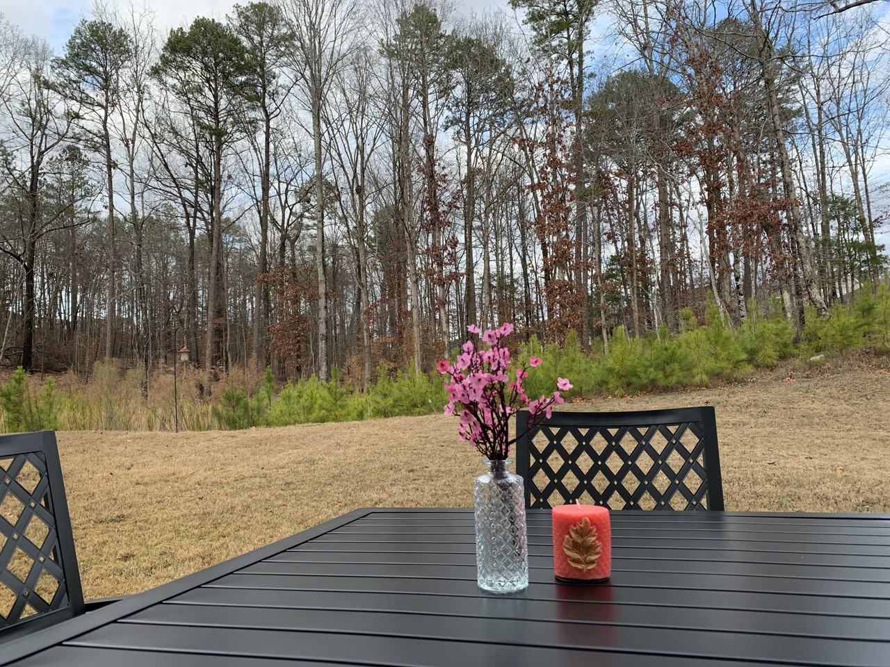 425 Live Oak Dr #NA - Photo 6 of 16