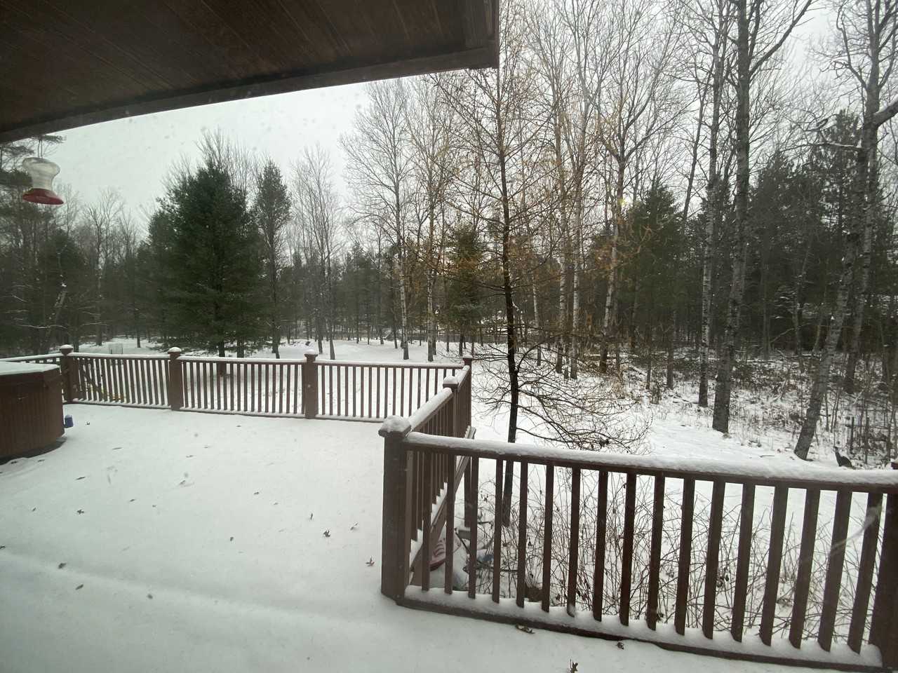 10317 Slide A Ways Trl #NA - Photo 6 of 19