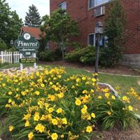 featured image of 288 Pine Street