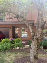 1698 Topside - Photo 1 of 1