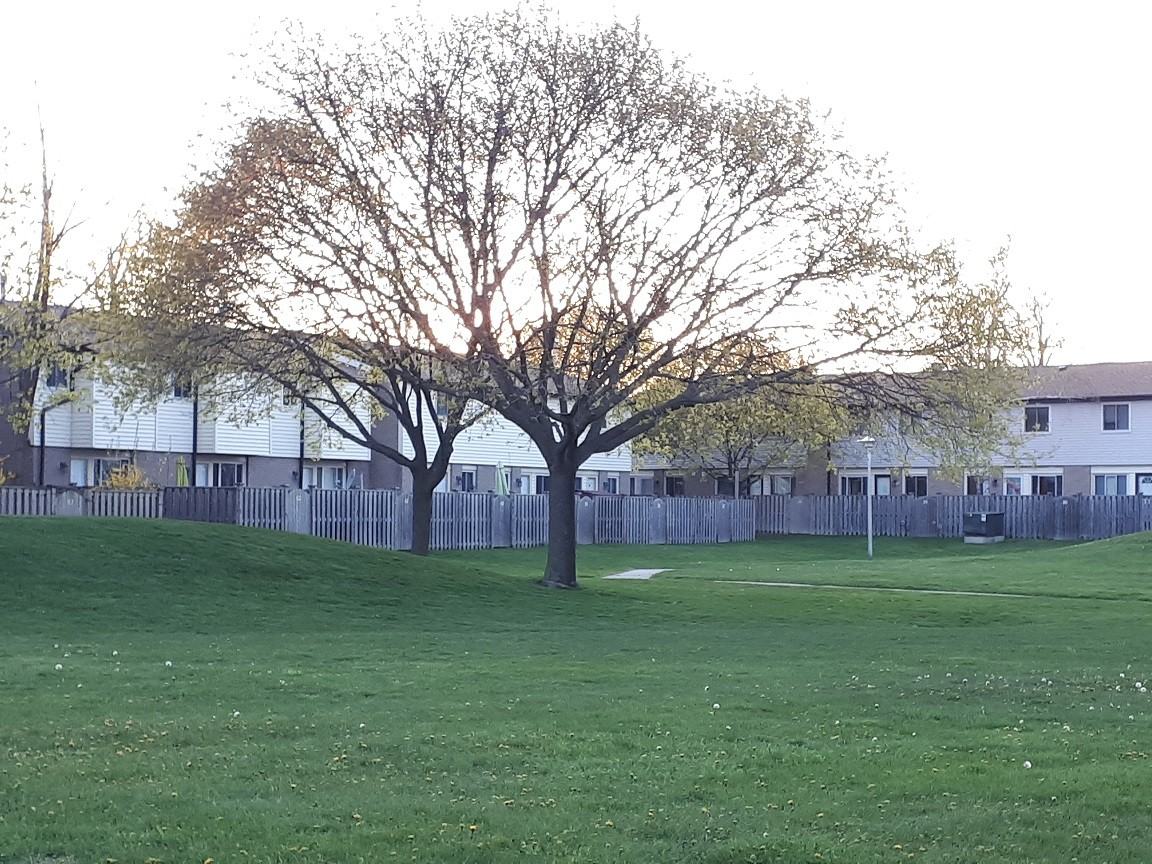 215 Trudeau Dr #1 - Photo 2 of 11