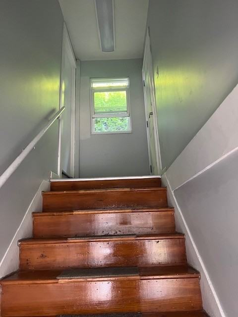 107 Homestead Street - Photo 3 of 10