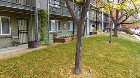 LARA LEA APARTMENTS LLLP - Photo 1 of 1