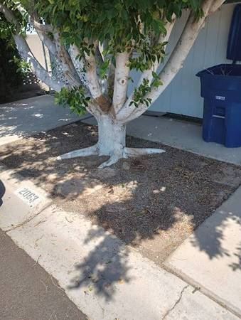 2063 S Coyote Ave #B - Photo 6 of 20