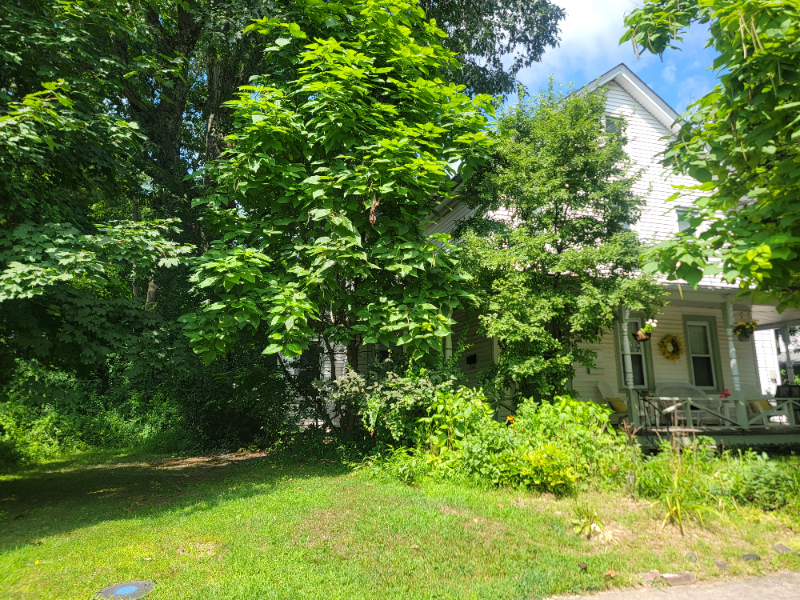 131 Lee Avenue #131 - Photo 2 of 19