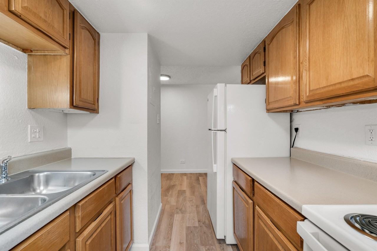 1325 Idalia Court - Photo 4 of 50