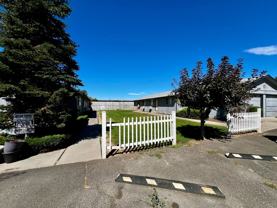 4803 Bonnie Ln - Photo 1 of 1