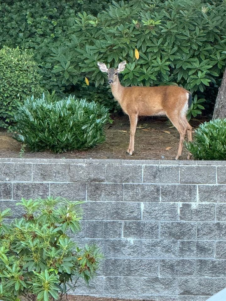 8th Street Apartments - Photo 2 of 50