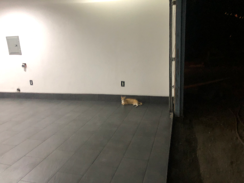 1405 Cypress Ln - Photo 7 of 24