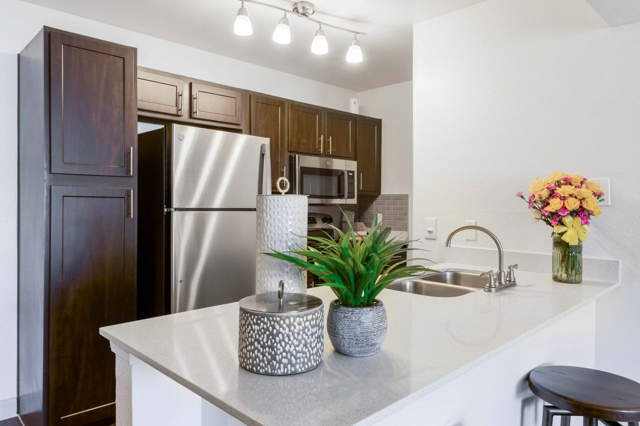 The Sycamore at Scottsdale - Photo 2 of 21