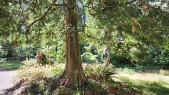 Crescent Road - Photo 1 of 1