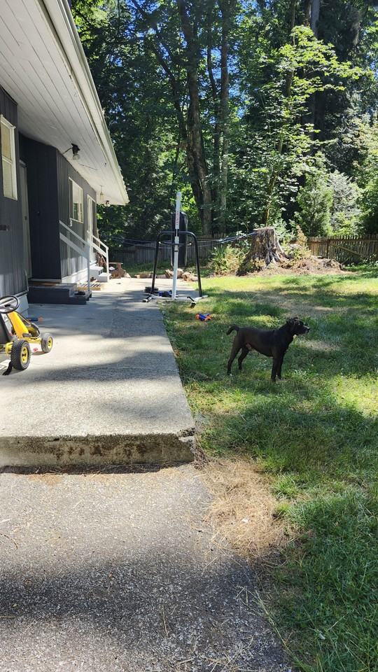 13456 Crescent Road - Photo 7 of 15