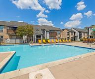 Mustang on the Trail - Photo 1 of 1