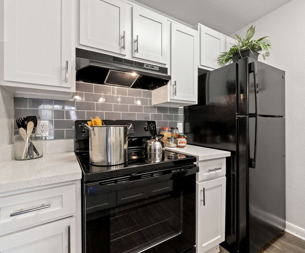 Mustang on the Trail - Photo 3 of 45