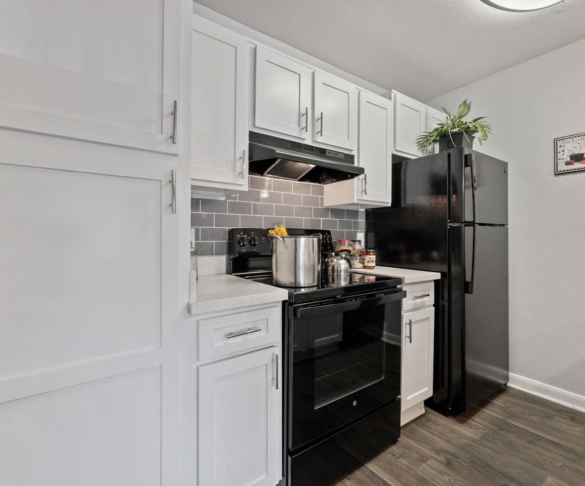 Mustang on the Trail - Photo 4 of 45