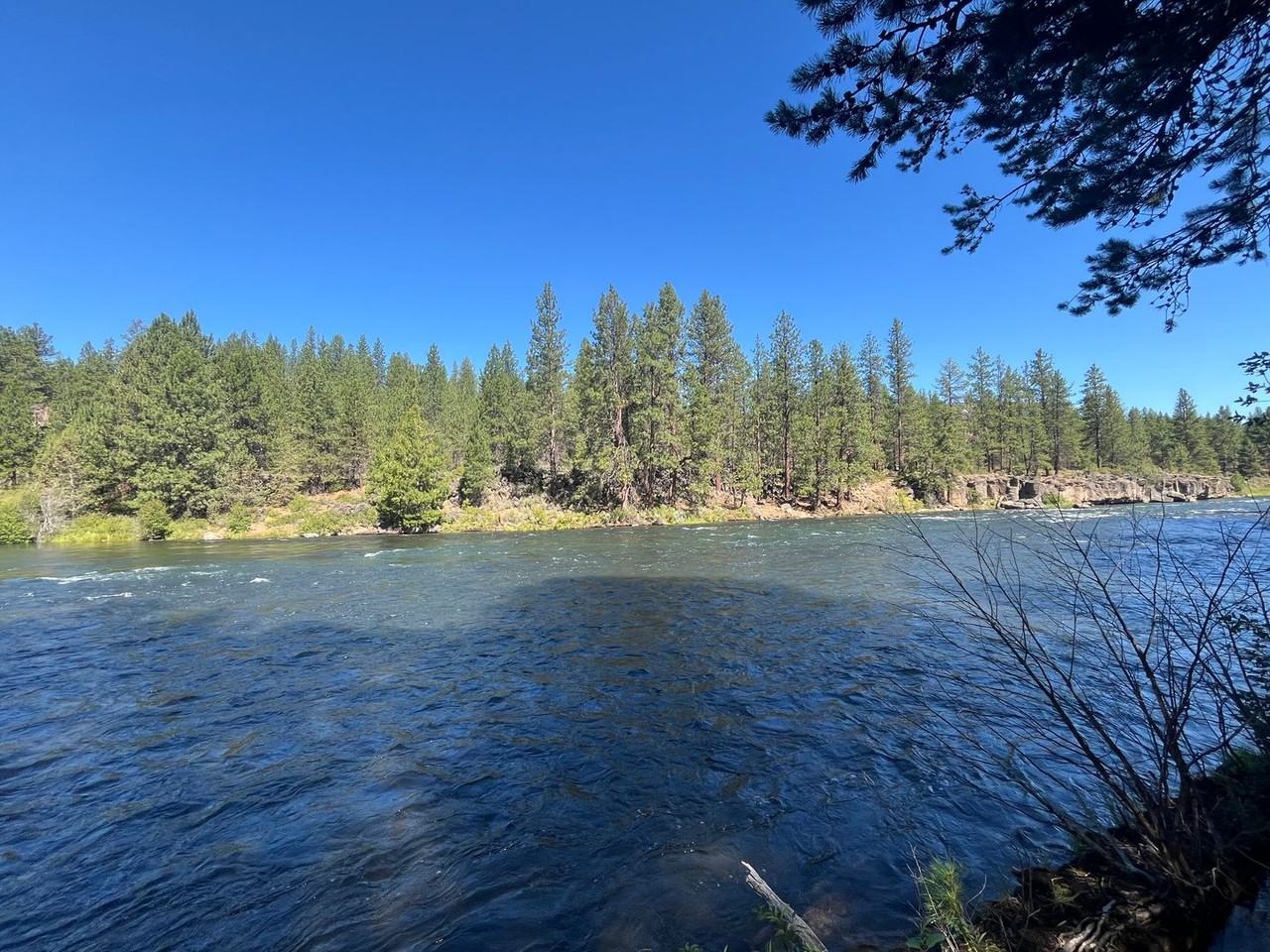 60615 River Bend Dr - Photo 3 of 50