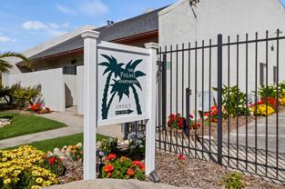 The Palms - Photo 1 of 1
