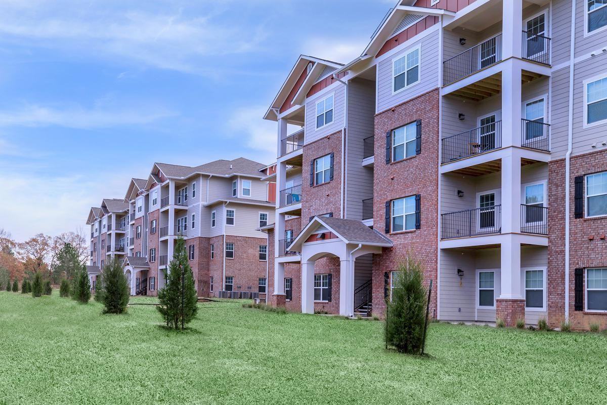 10811 Ingram Street - Photo 5 of 24