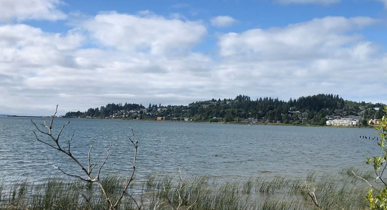 35237 Hwy 101 Business - Photo 3 of 6