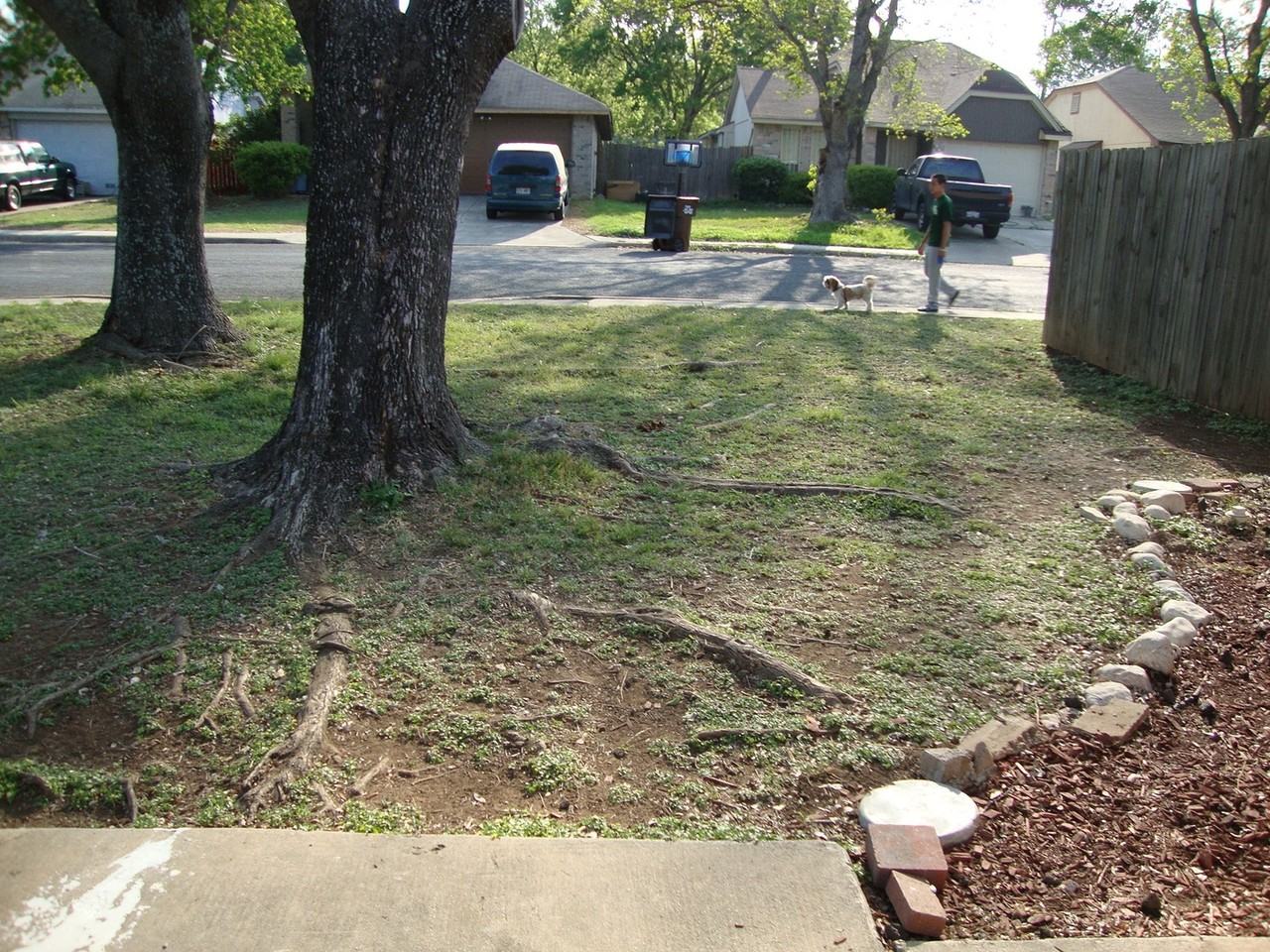 11371FISH Spring Trail St - Photo 4 of 31