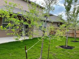 featured image of 13915 Borolanite Dr