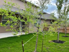 13915 Borolanite Dr - Photo 1 of 1