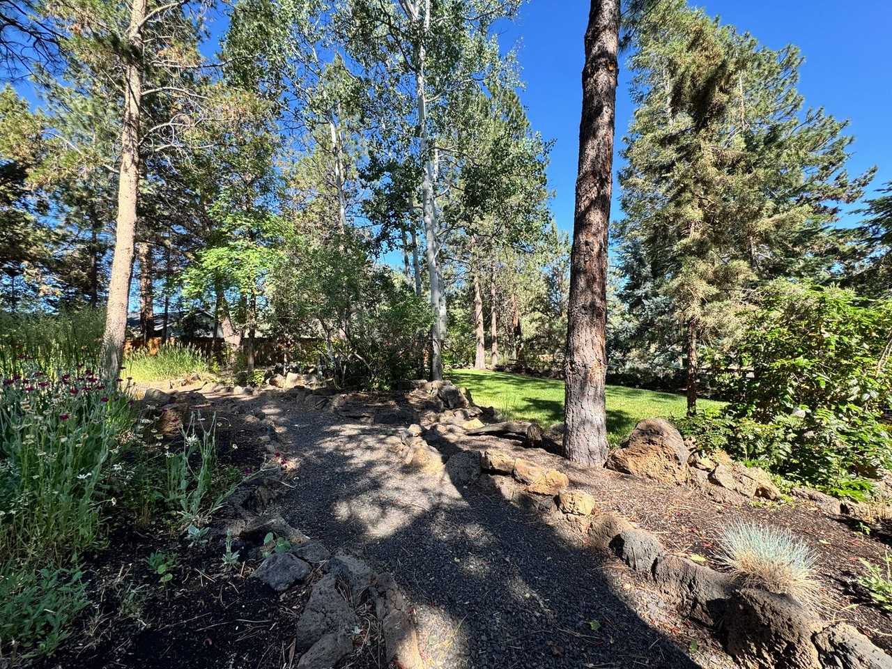 20923 King Hezekiah Way - Photo 6 of 50