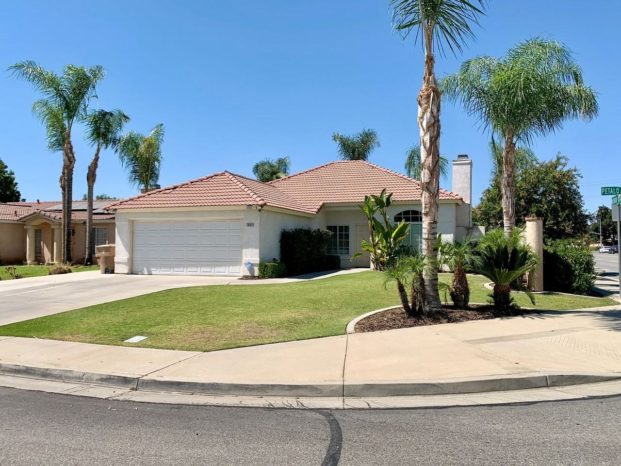 10502 Petalo Dr - Photo 2 of 25