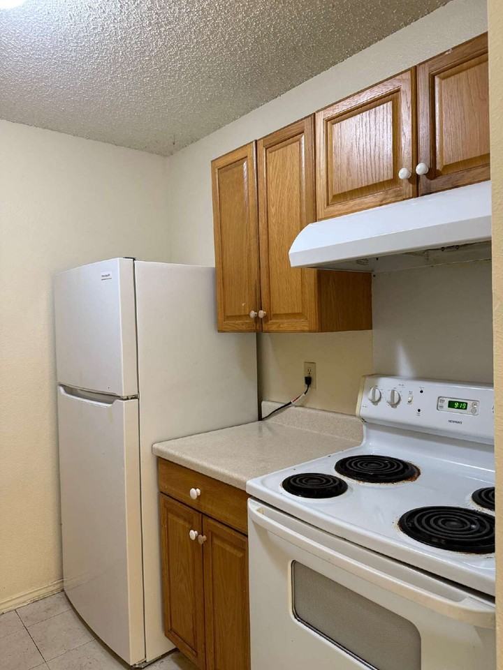 5219 Meadow Rise St - Photo 7 of 20