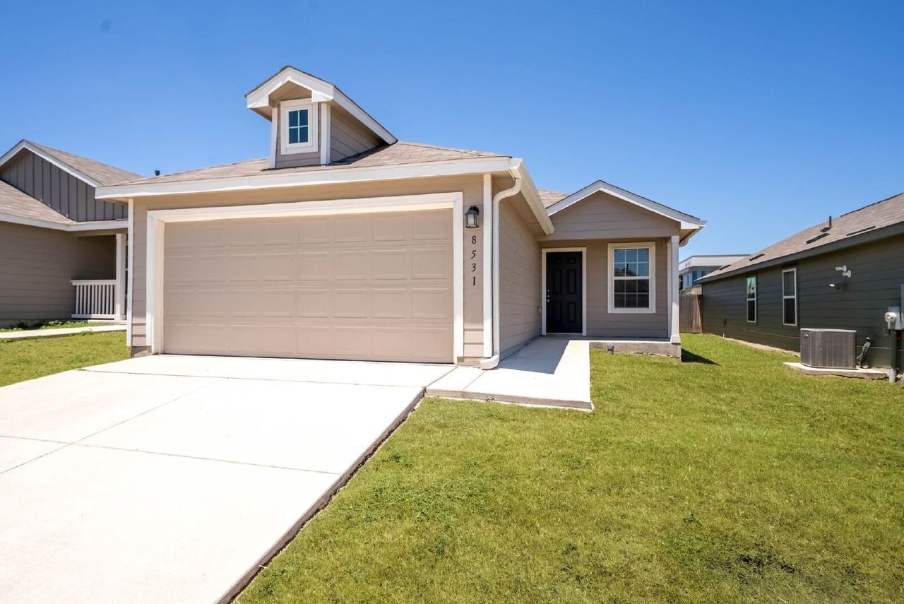 8531 Western Tanager - Photo 3 of 25