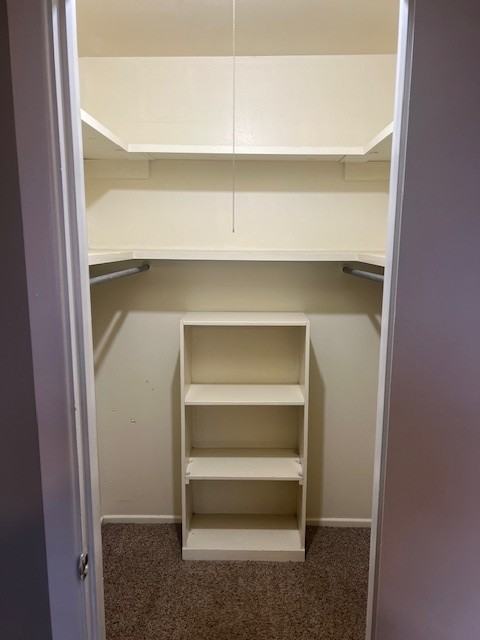 1505 Bradley Street #D - Photo 7 of 8