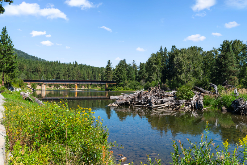 16299 River Rd - Photo 2 of 20