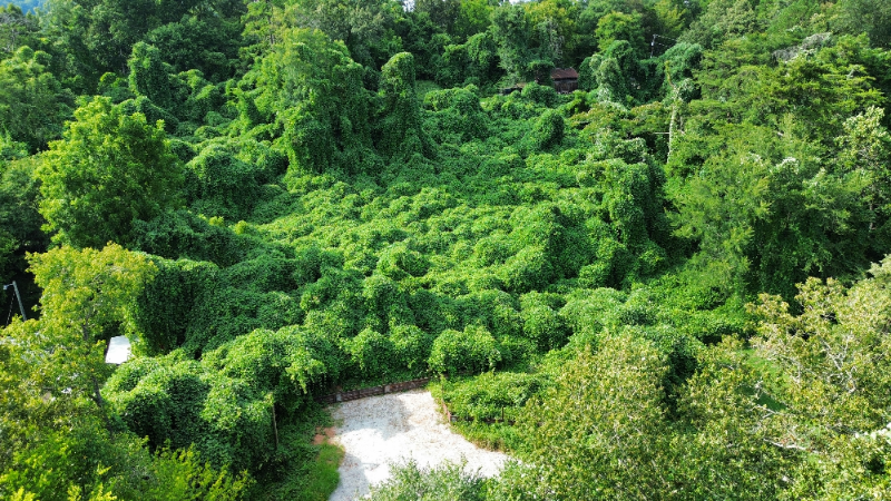 7712 Sevierville Pike - Photo 4 of 20