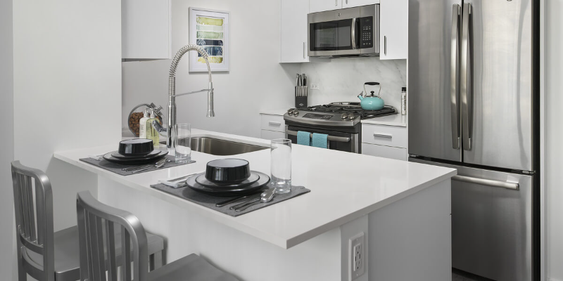 1175 N La Salle Dr - Photo 6 of 19