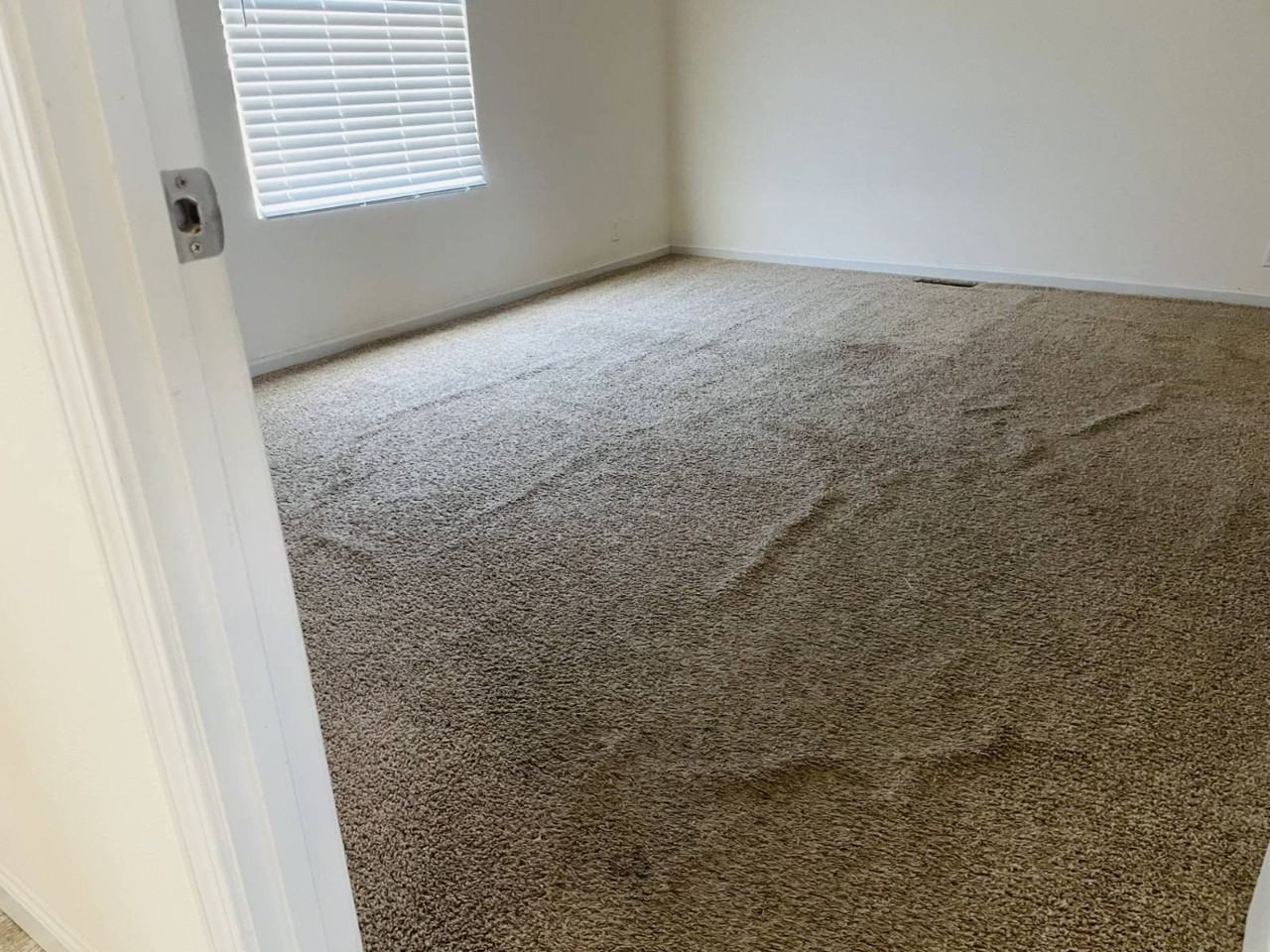 533 Sullivan St - Photo 4 of 10