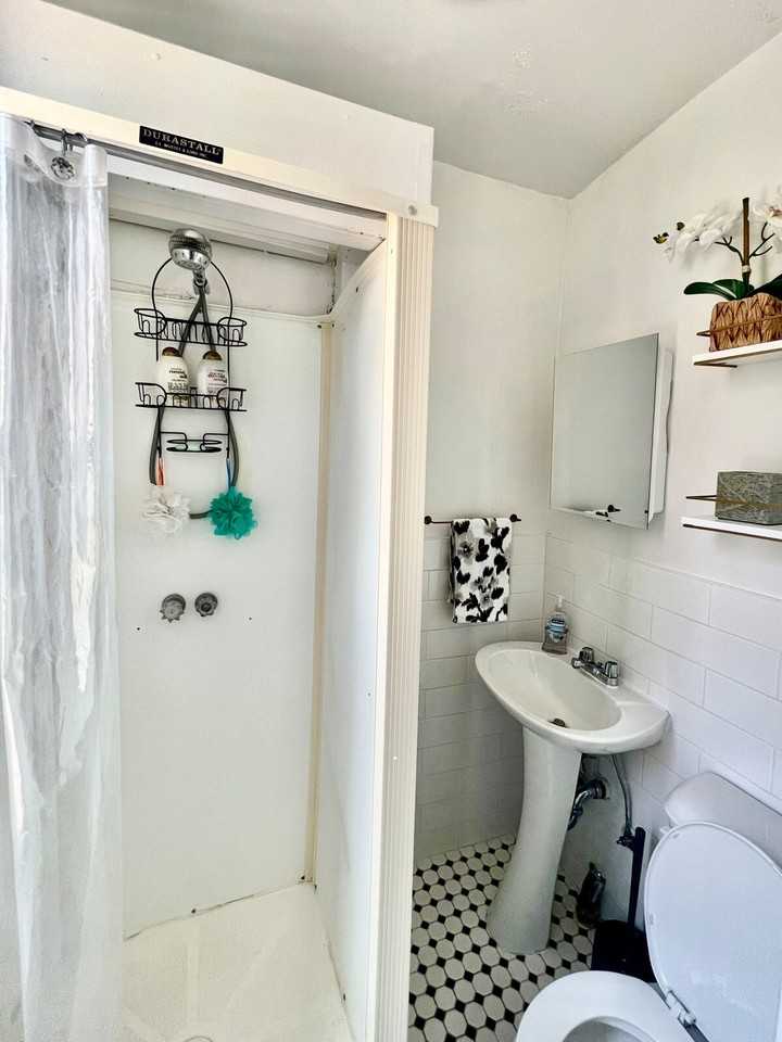 542 E 14th St #1261205P - Photo 3 of 24