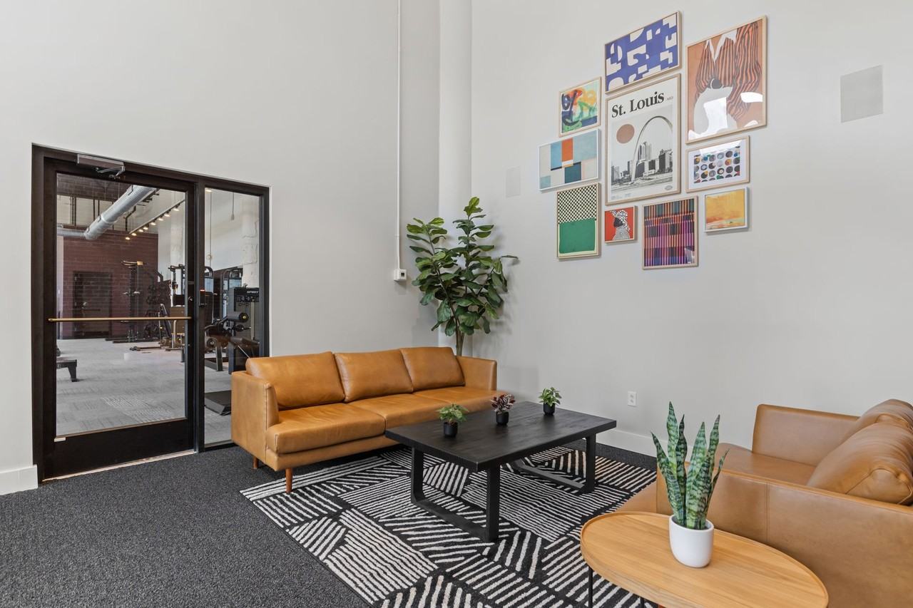 Ventana | On Wash Ave - Photo 4 of 24