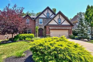 featured image of 21 Casagrande St