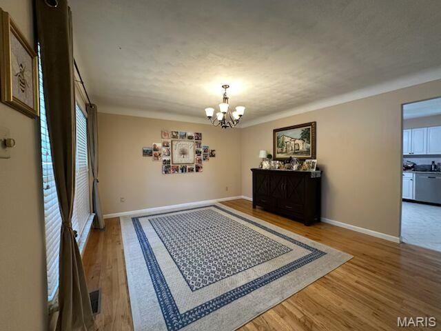 1003 Mallow Dr - Photo 2 of 13